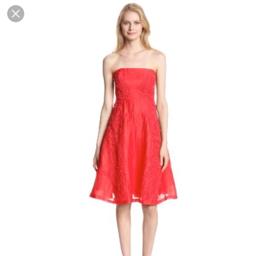 NWT Anthro persimmon lace appliqué dress